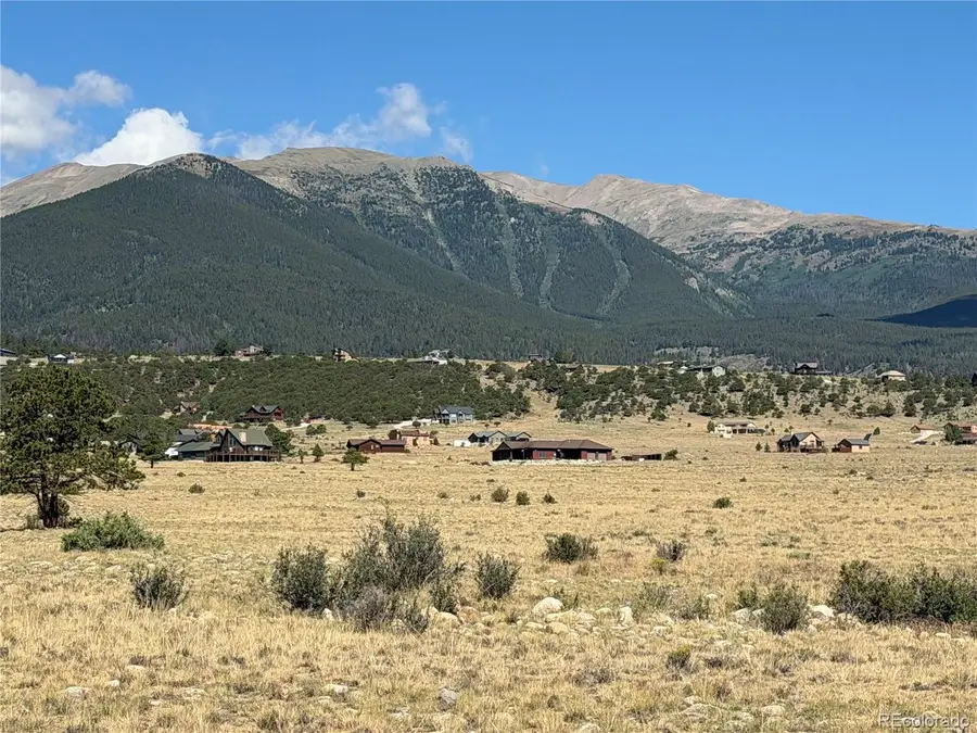30309 Elk Meadow, Buena Vista, CO 81211 - #3