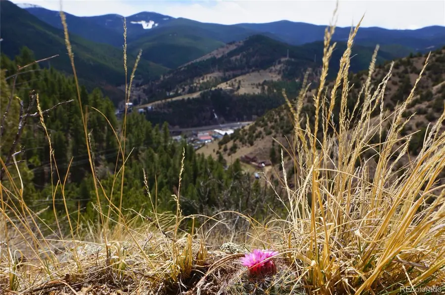 000 Virginia Canyon Road, Idaho Springs, CO 80452 - Image #2