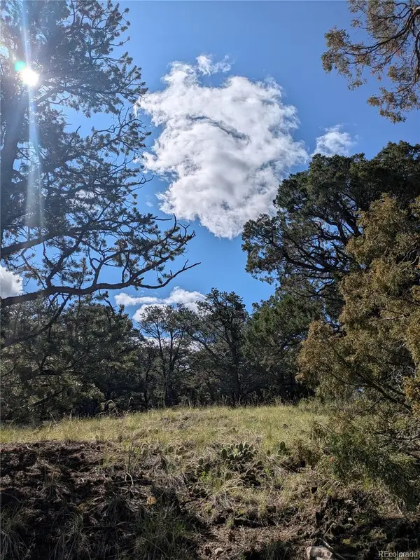 1813 Rockyview Way, Crestone, CO 81131