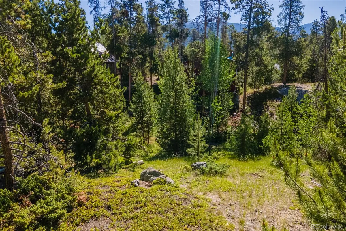 844 Shadow Mountain Drive, Grand Lake, CO 80447 - #1