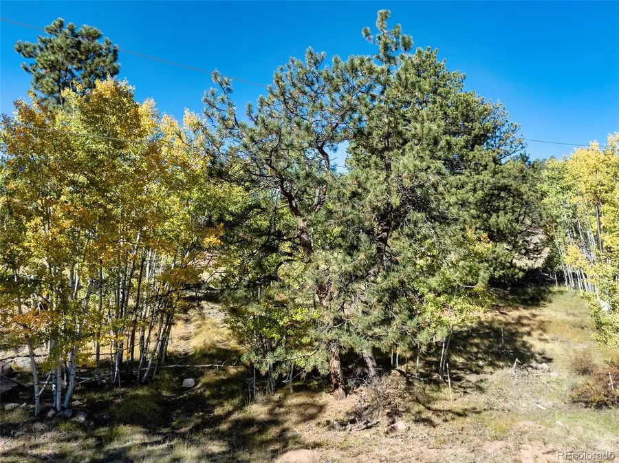 71 Pine Circle, Guffey, CO 80820 - Image #3