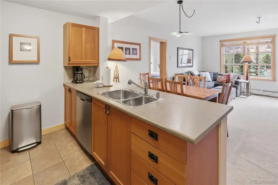 910 Copper Road #202, Frisco, CO 80443 - #3