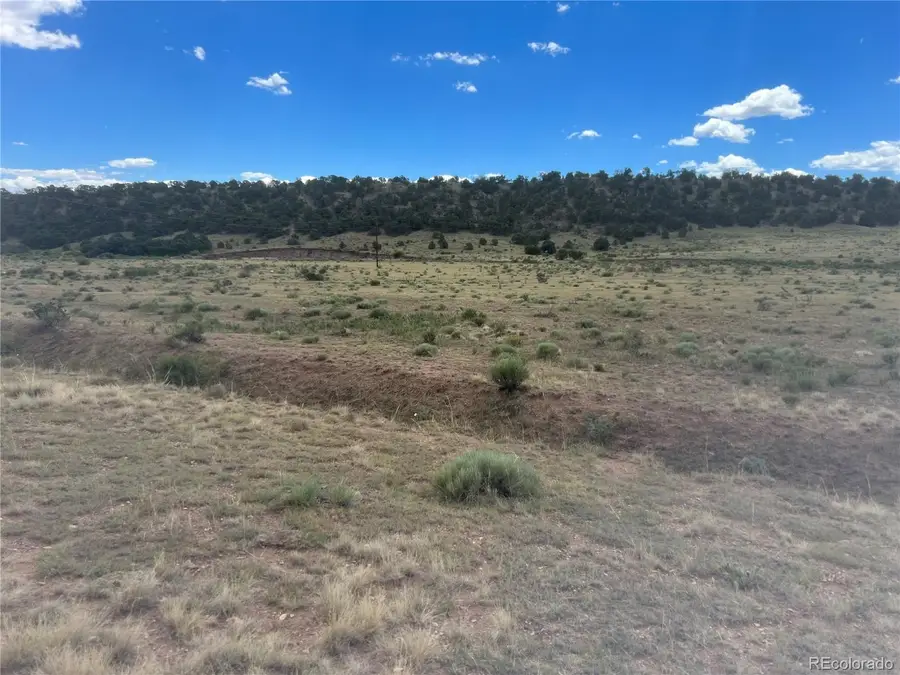 County Rd 530, Gardner, CO 81040 - Image #2