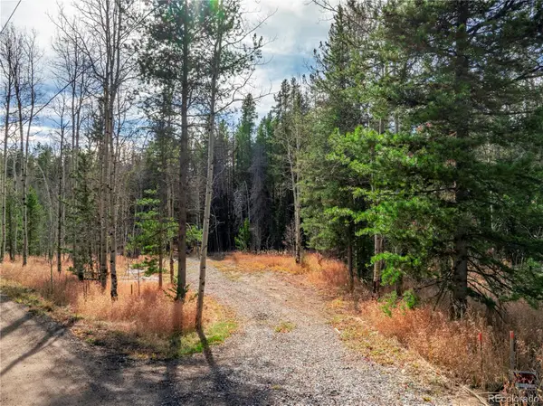 Lot 216620 Indian Springs Road, Conifer, CO 80433