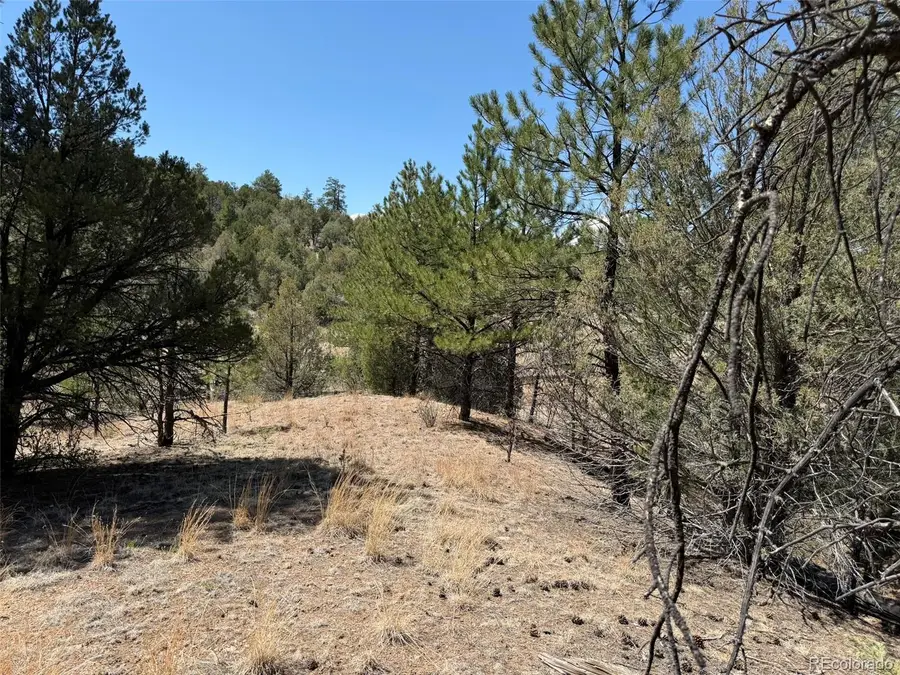176 Arnold Drive, Cotopaxi, CO 81223 - #3