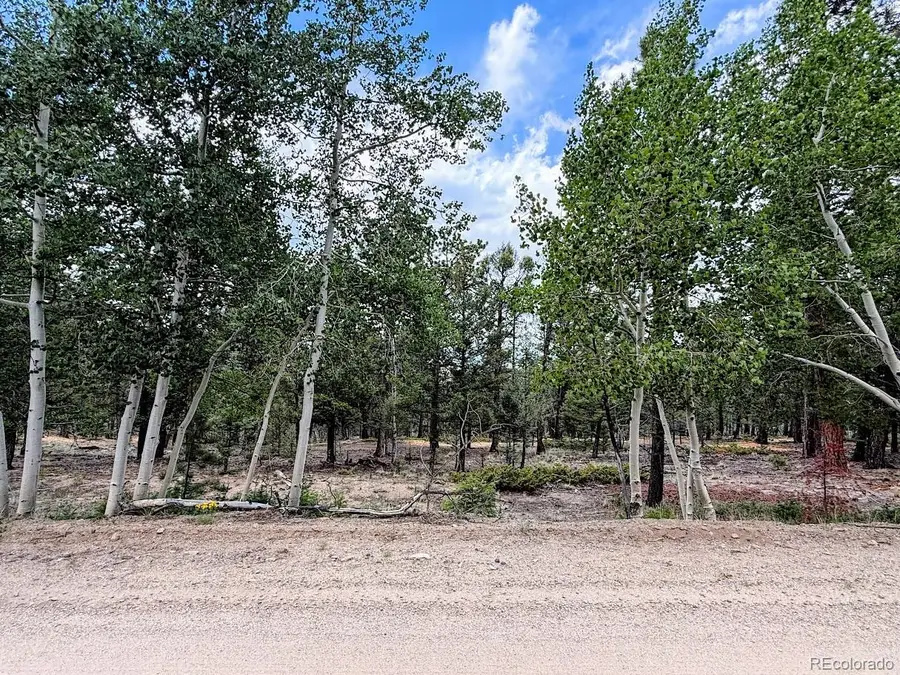 1789 Bellows Road, Hartsel, CO 80449 - #2