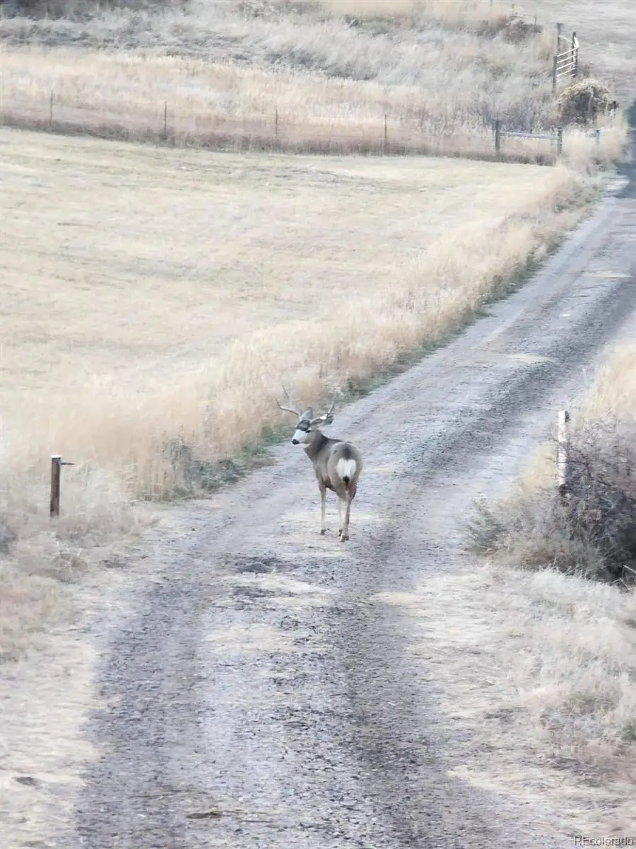 940 S County Road 29, Loveland, CO 80537 - #2