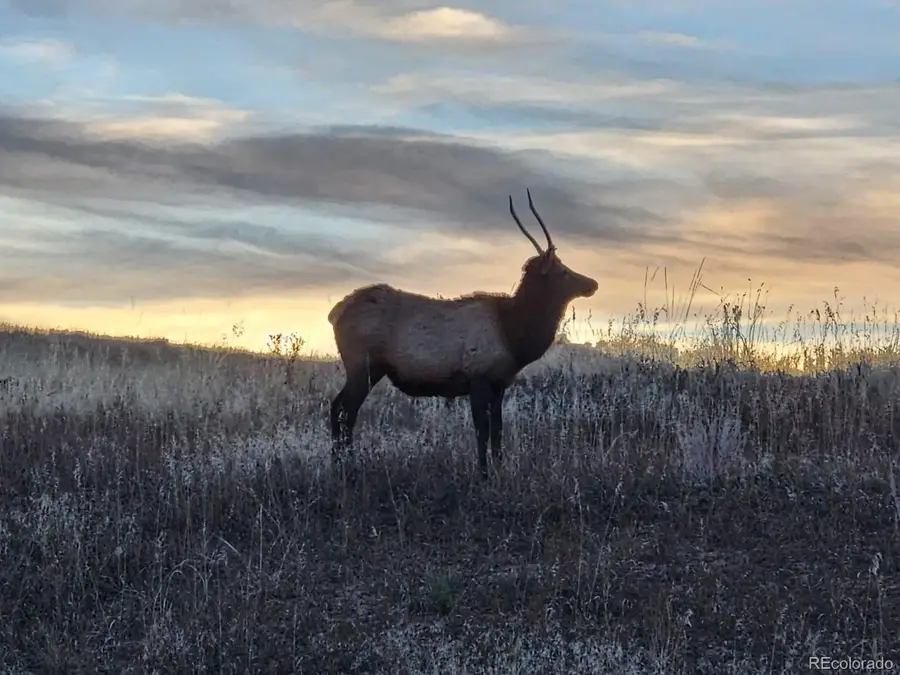 940 S County Road 29, Loveland, CO 80537 - #3