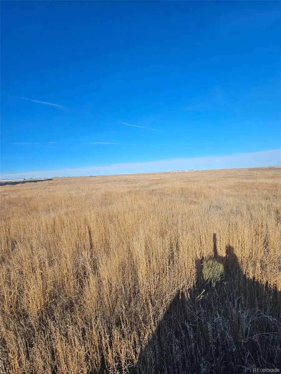 20243 Sherman Lane, Ordway, CO 81076 - #2