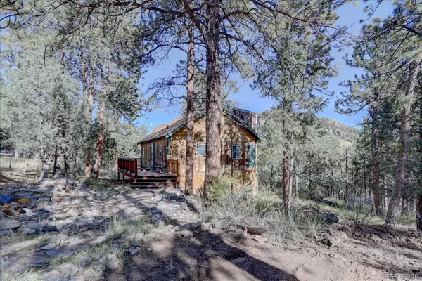 1999 Roland Drive, Bailey, CO 80421