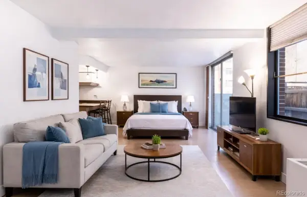 830 N Sherman Street #105, Denver, CO 80203