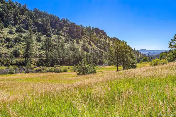 14334 Reserve Road, Pine, CO 80470