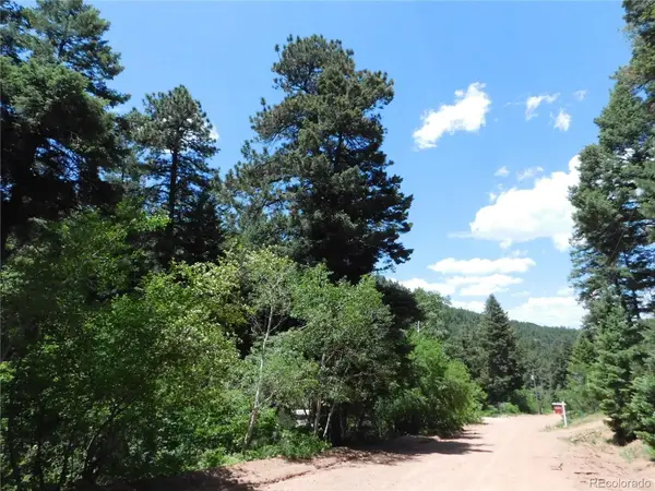 13371 Spruce Creek Circle, Larkspur, CO 80118