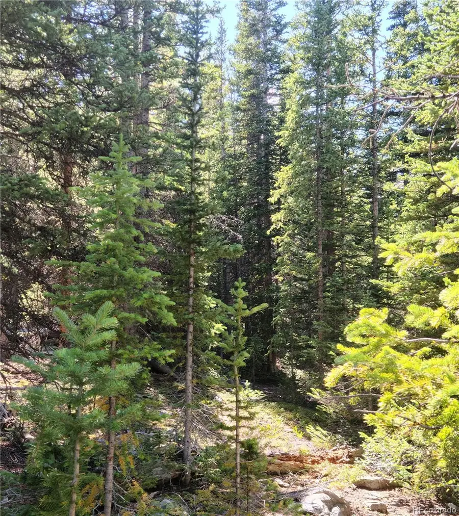 473 Bum Drive, Fairplay, CO 80440 - Image #2