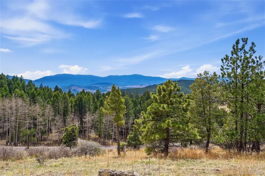 13108 Elsie Road, Conifer, CO 80433 - #3