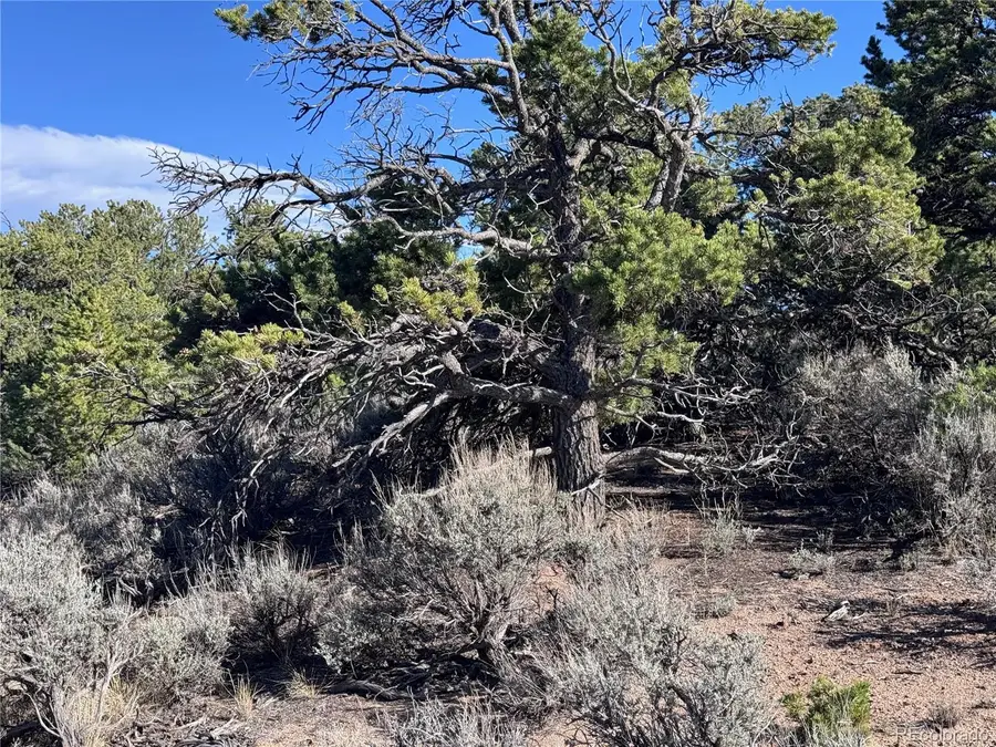 Lot 3292 Geneen Road, Fort Garland, CO 81133 - #3