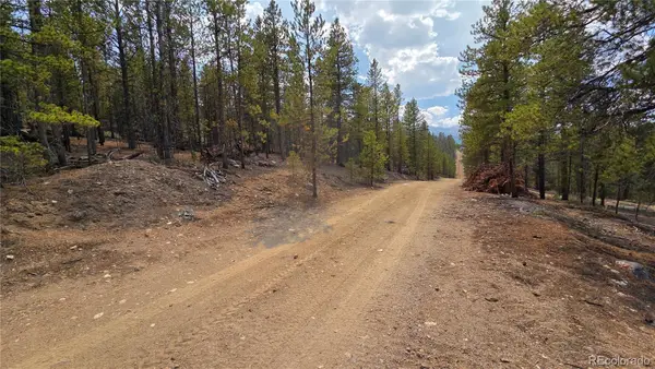 67 Lodgepole Drive, Leadville, CO 80461