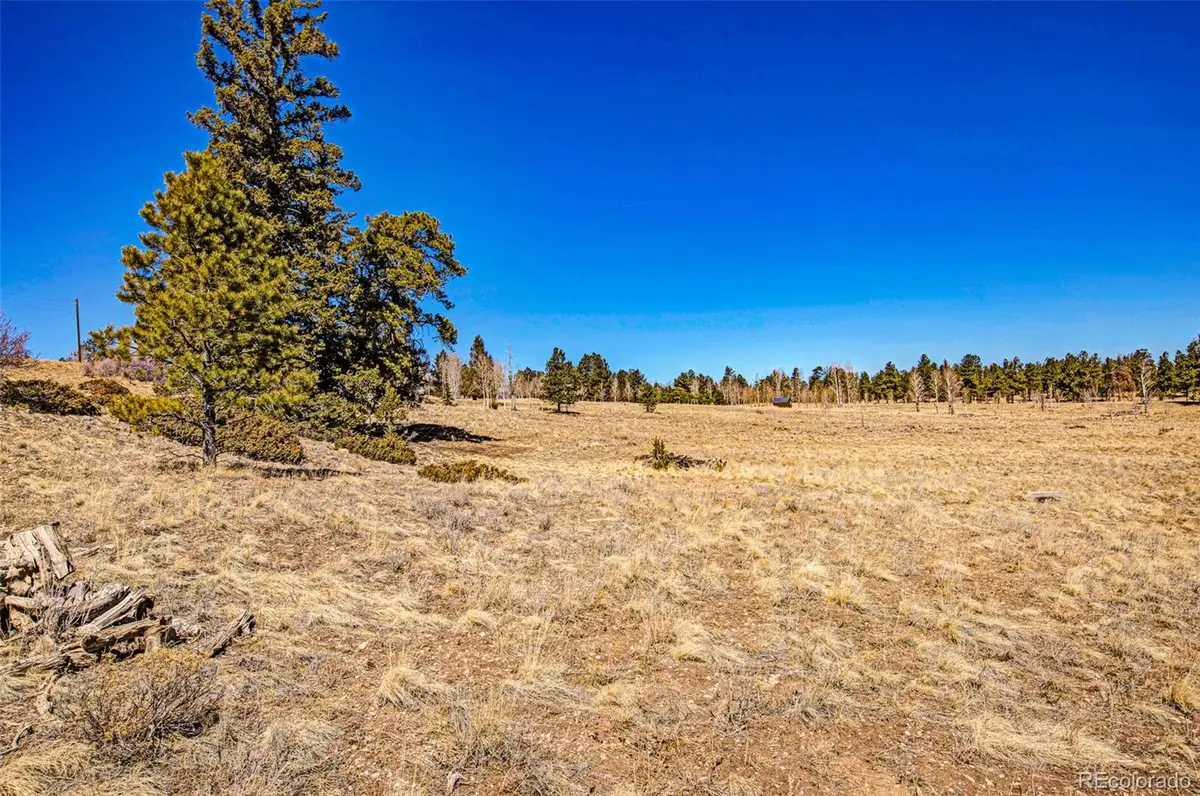 1250 Kaufman Road, Hartsel, CO 80449 - #1