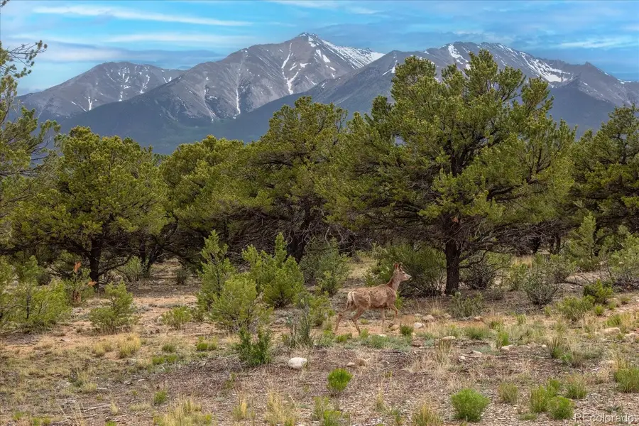 29258 Sage Lane, Buena Vista, CO 81211 - Image #2