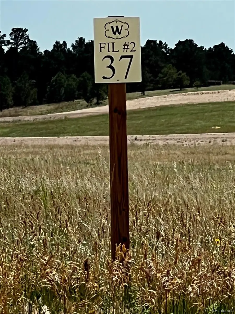 16990 Early Light Drive, Colorado Springs, CO 80908 - Image #2