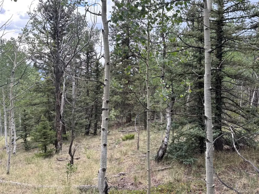 1928 Wells Fargo Circle, Jefferson, CO 80456 - #2