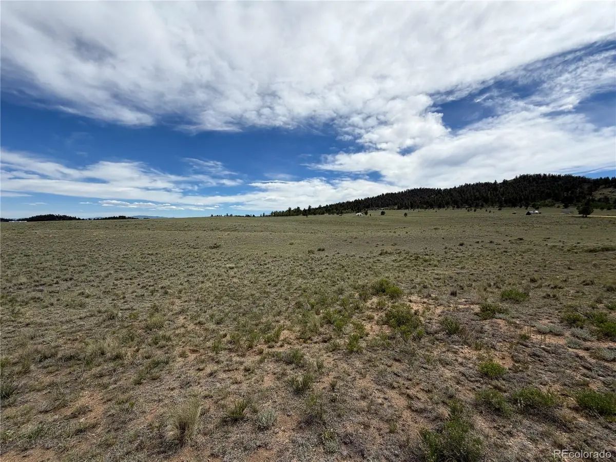 776 Commanche Trail, Hartsel, CO 80449 - #1