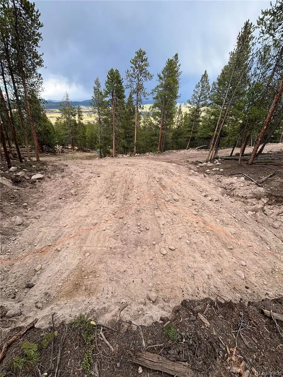 680 Edward E Hill, Twin Lakes, CO 81228 - #2