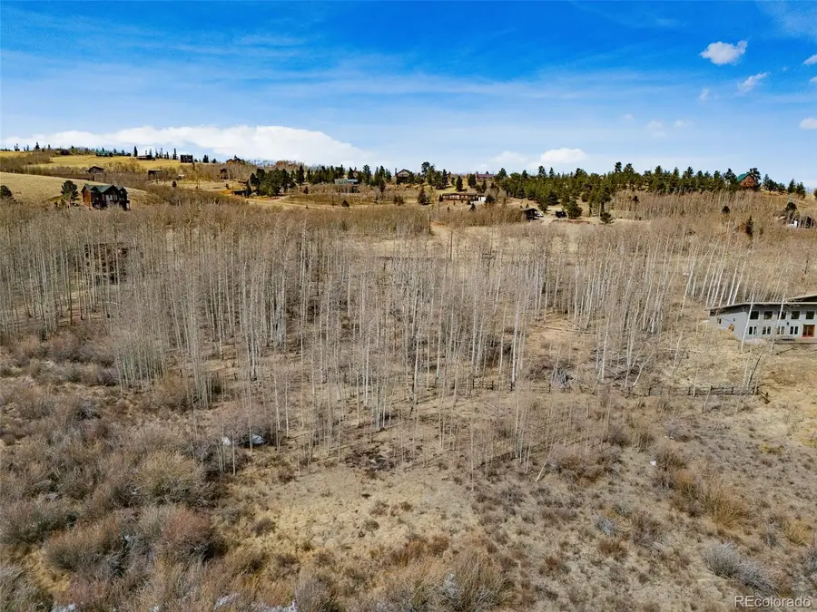 1555 Sheep Ridge Road, Fairplay, CO 80440 - #3
