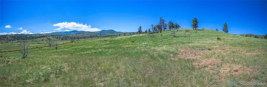 Joyce Road, Fort Garland, CO 81133 - Image #3