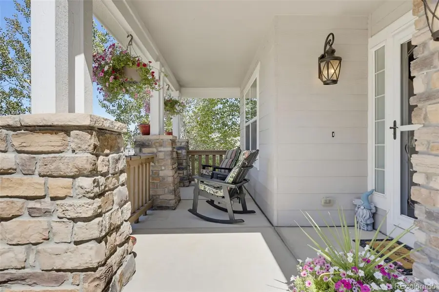 1610 Ridgetrail Court, Castle Rock, CO 80104 - #3