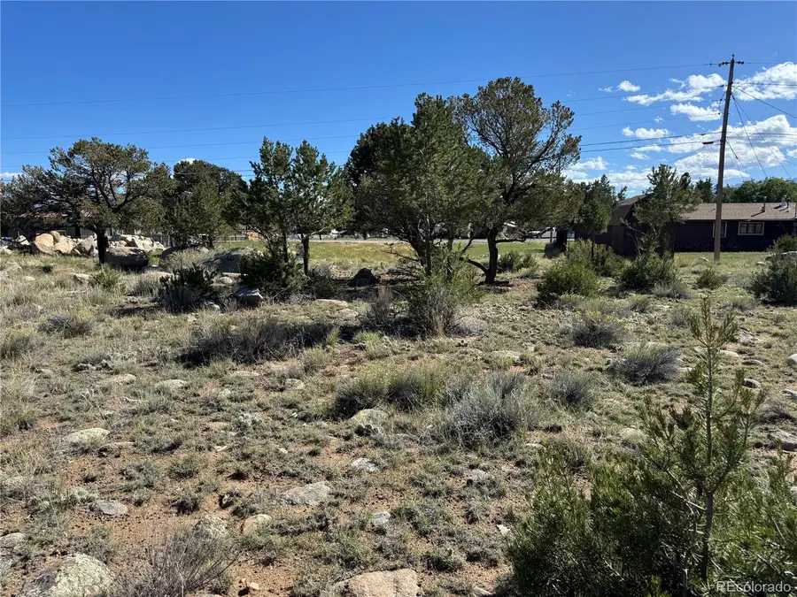022 Garfield Avenue, Buena Vista, CO 81211 - #3