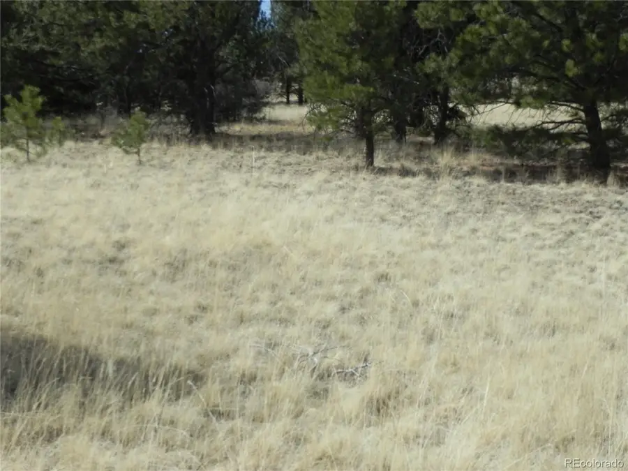 1058 Monarch Drive, Cripple Creek, CO 80813 - #3