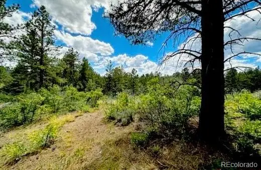 550 Deer Trail, Pagosa Springs, CO 81147 - #1