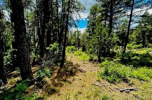 550 Deer Trail, Pagosa Springs, CO 81147 - #2