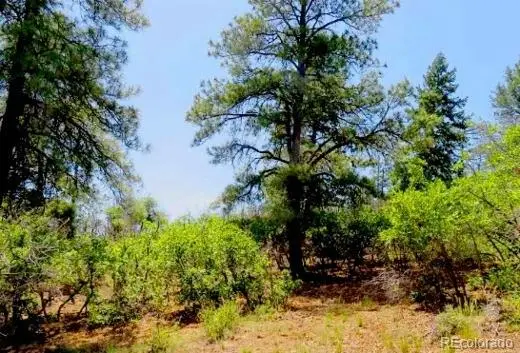 550 Deer Trail, Pagosa Springs, CO 81147 - #3