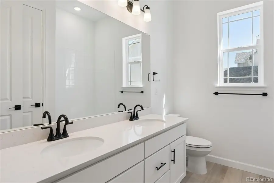 1668 Green Fern Point, Castle Rock, CO 80104 - Image #3