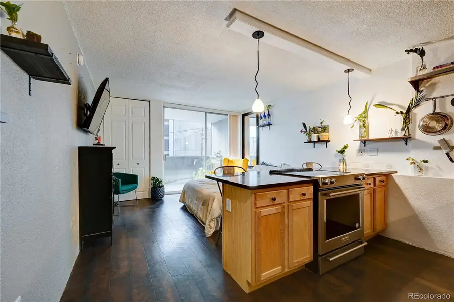 909 N Logan Street #3C, Denver, CO 80203 - #3