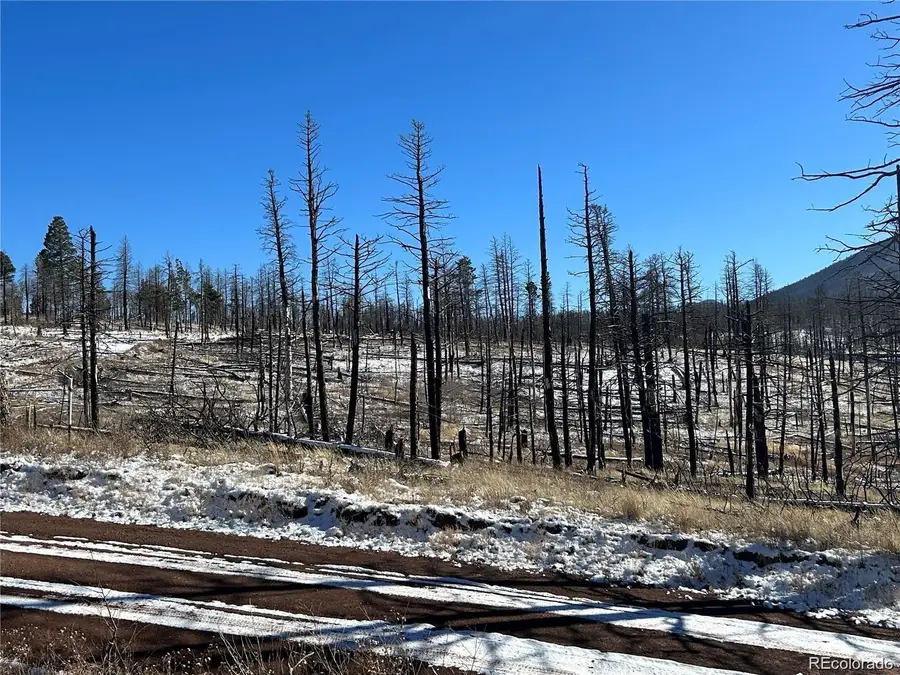 Lot 1039 Forbes Park Ranch, Fort Garland, CO 81133 - Image #2