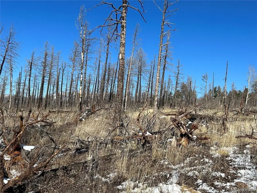 Lot 1039 Forbes Park Ranch, Fort Garland, CO 81133 - Image #3