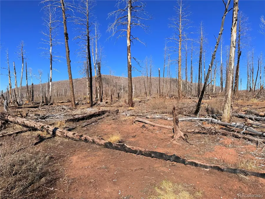 LOT 2209 Burnett Lane, Fort Garland, CO 81133 - #3