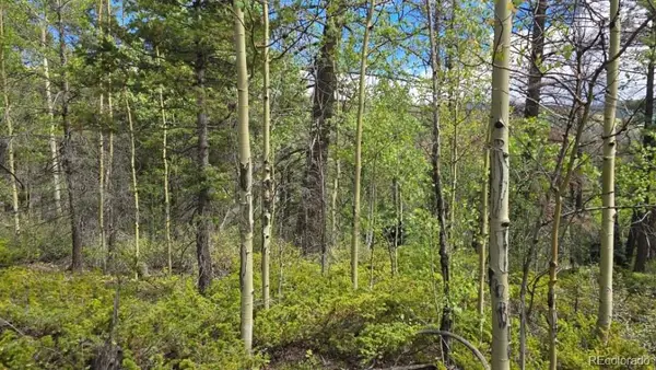 Lot 6269 Shioshita Road, San Luis, CO 81152