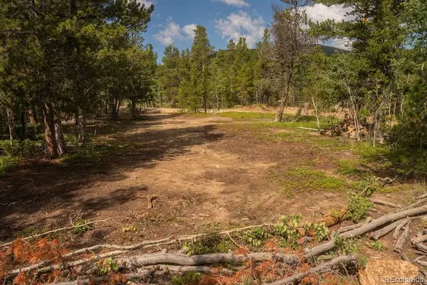 Highpoint Circle, Black Hawk, CO 80422