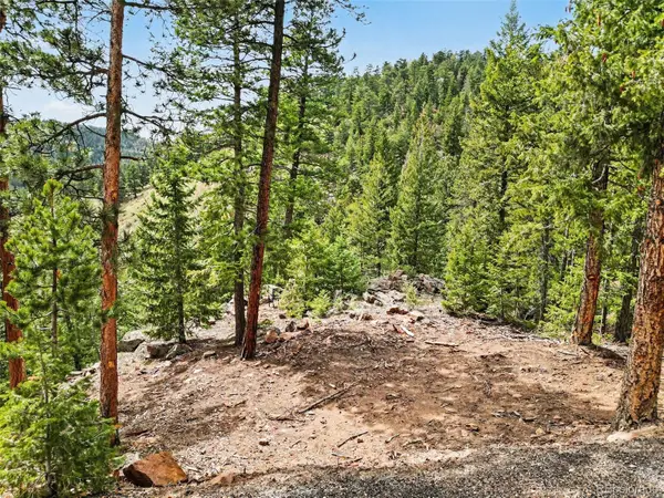 7141 Timber Trail Road, Evergreen, CO 80439
