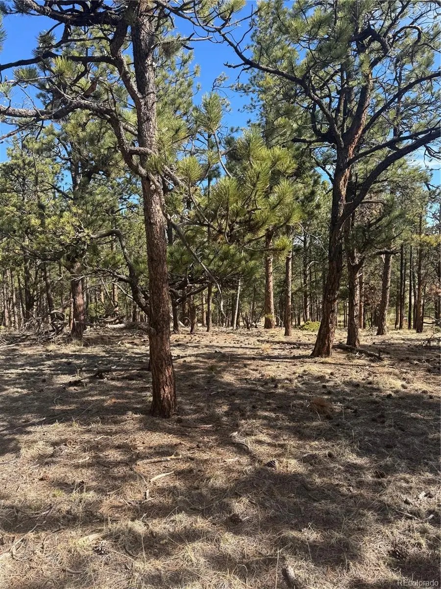 642 Matterhorn Drive, Florissant, CO 80816 - #2