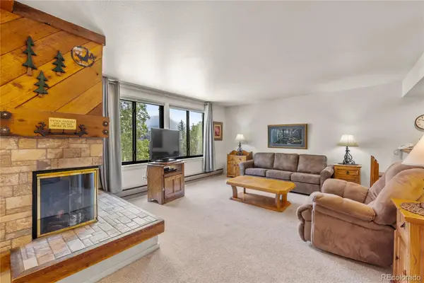 166 Argentine Court #1433, Dillon, CO 80435