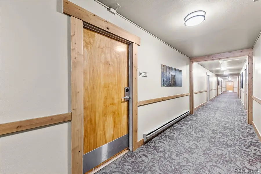 166 Argentine Court #1433, Dillon, CO 80435 - #3