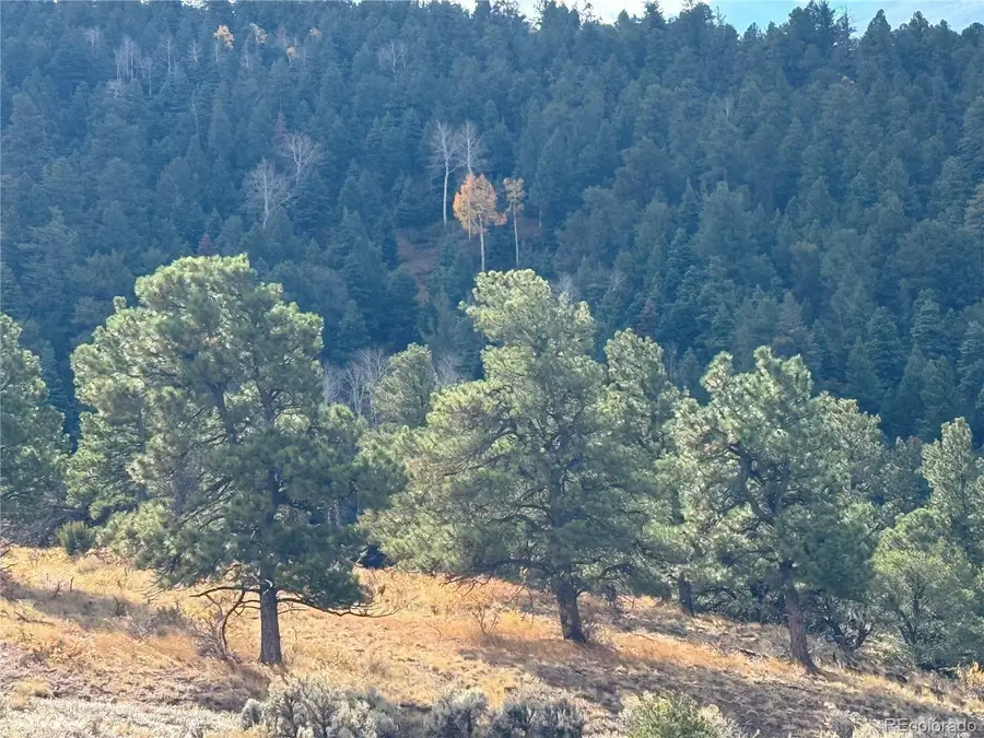 284 Borman Drive, Fort Garland, CO 81133 - Image #2