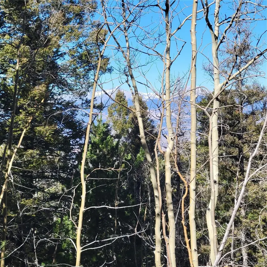 5213 Taylor Road, Fort Garland, CO 81133 - #3