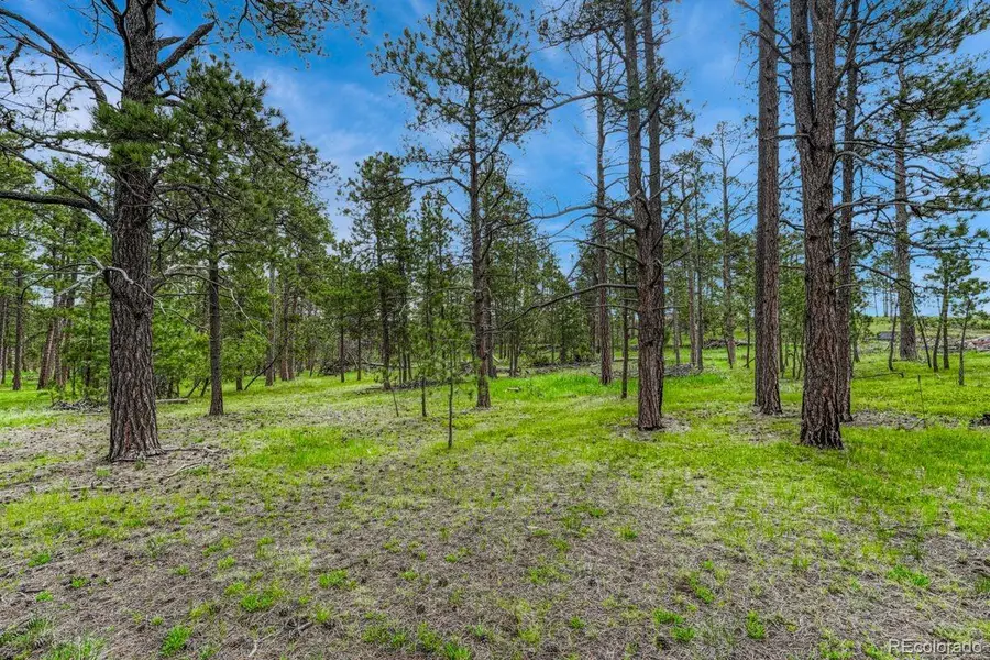 000 Wyandott Drive, Colorado Springs, CO 80908 - Image #3