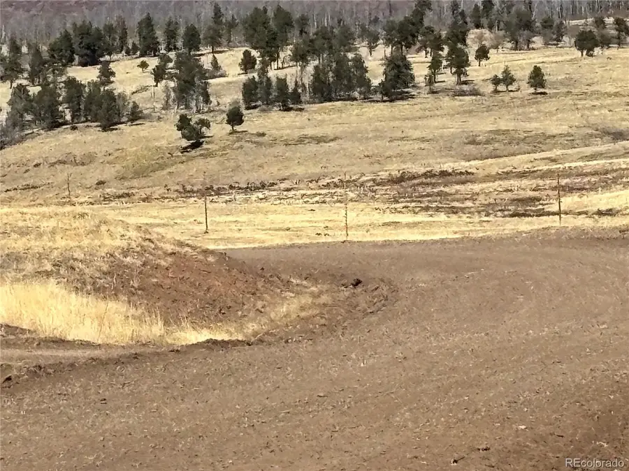 00 Forbes Park Rd., Fort Garland, CO 81133 - #2